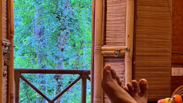 Une terrasse en bois offrant une vue sur un feuillage verdoyant et luxuriant.