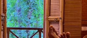 Adrak Mountain Mist Forest Resort