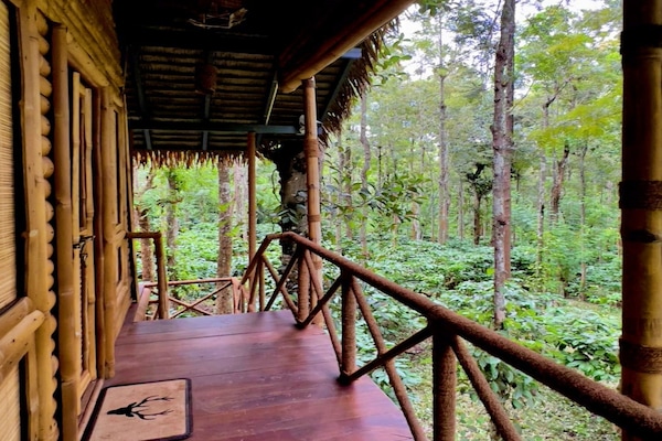 Casa de árbol clásica | Terraza o patio