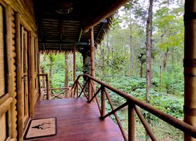 Classic Tree House | Terrace/patio