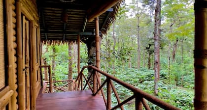 Adrak Mountain Mist Forest Resort