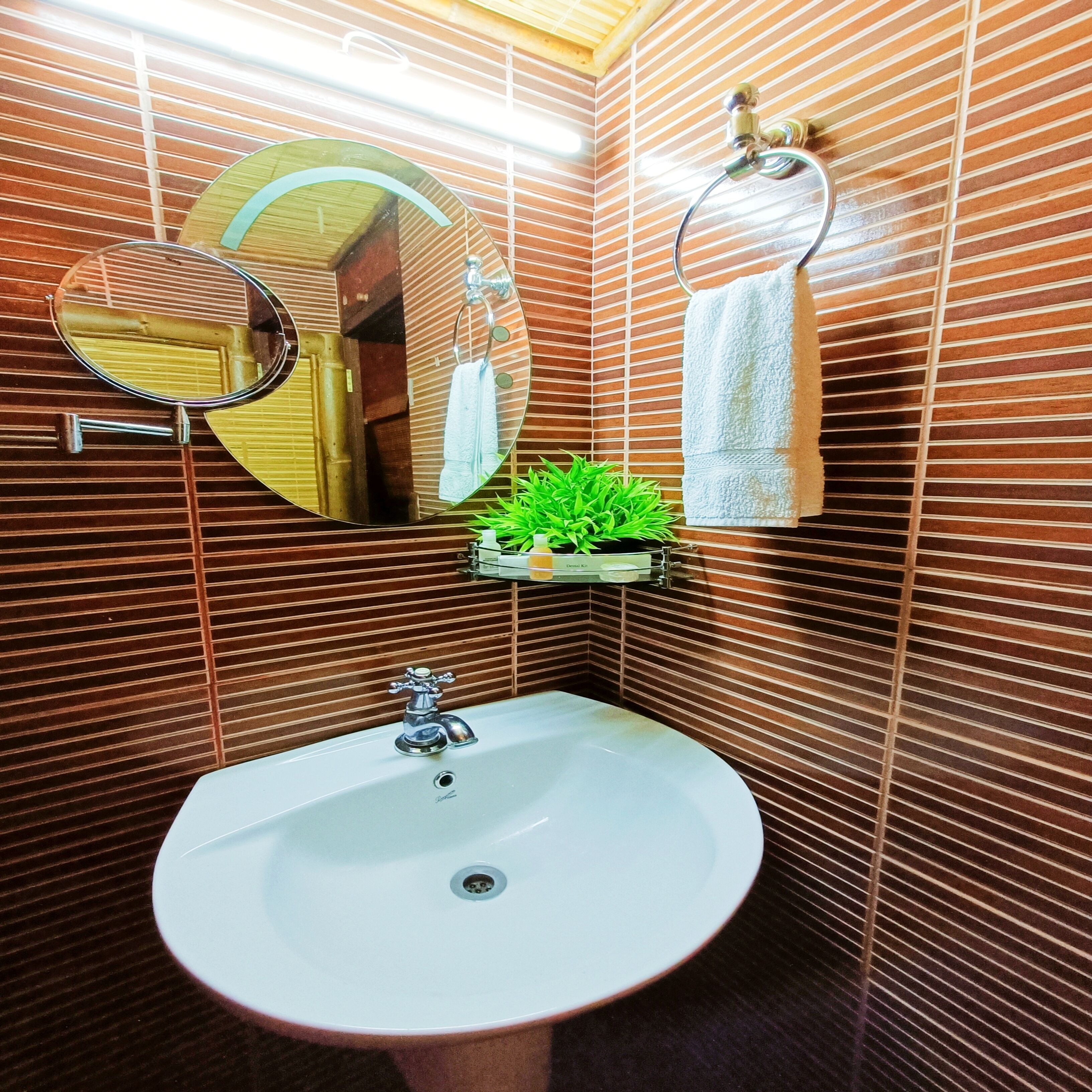 A bathroom with a sink, mirror, towel rack, and a small plant on a shelf.
