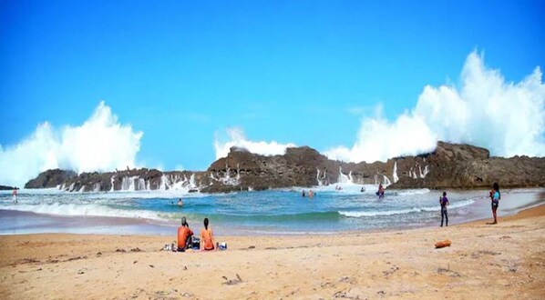 على الشاطئ، مناشف للشاطئ