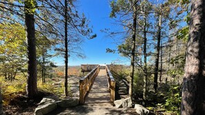 A wooden boardwalk leading through a forested area with a clear sky above. - Dawson Loop Inn - Private Lakefront Cottage (MONT)