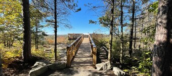 Dawson Loop Inn - Private Lakefront Cottage