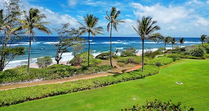 Renovation Complete! One Bedroom, Direct Ocean front -Everything inside is New!