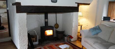 House | Living area | Fireplace