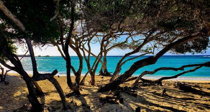 Cozy bungalow with ocean view and walking distance from beaches