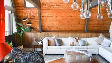 Smart TV, fireplace, books