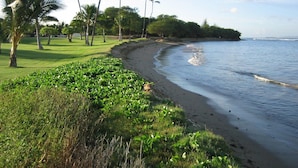 Una playa cerca
