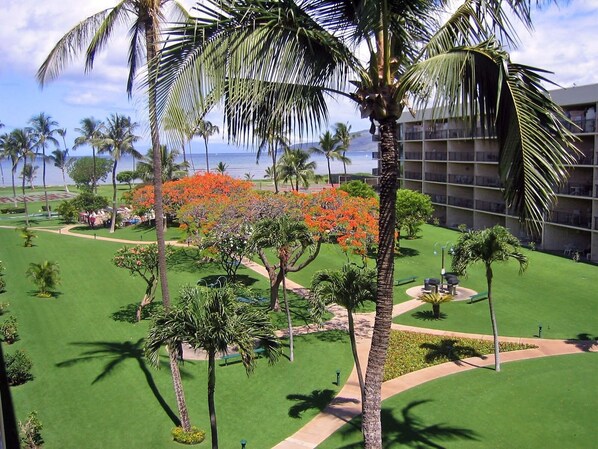 Property grounds - Upper floor with quiet location A402 (Kihei)