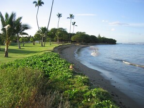 In Strandnähe, Strandtücher