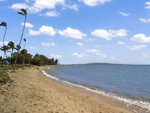 A beach with clear skies, palm trees, and a calm sea.