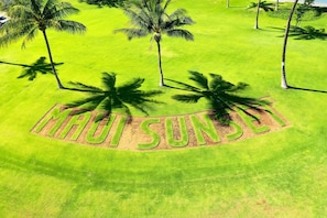 Golf - Maui Sunset A415: 1 BR, 2 BA Condominium in Kihei, Sleeps 5 (Kihei)