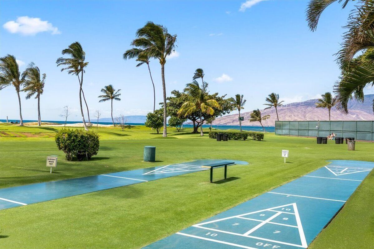 Shuffleboard