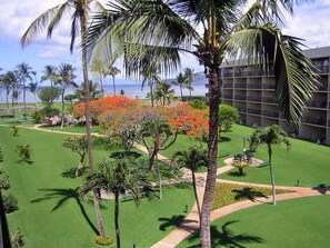 Escape to a tropical paradise with a lush garden and ocean views.