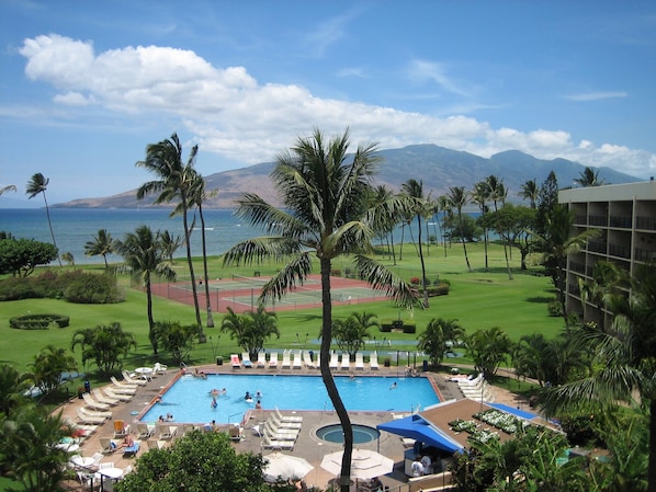 Relax by the oceanfront pool surrounded by palm trees and lounge chairs.