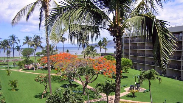 Unclassified image, 1 of 37, button - Maui Sunset Vacation Rentals B413 (Kihei)