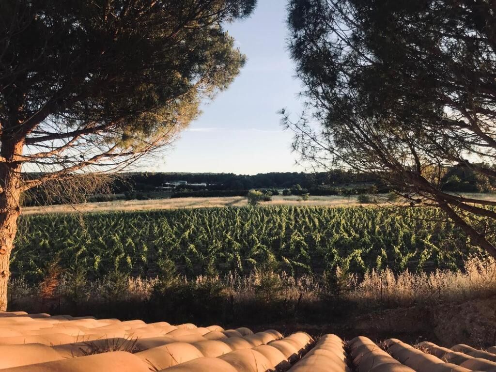 Photo - La Soleillade Aixoise