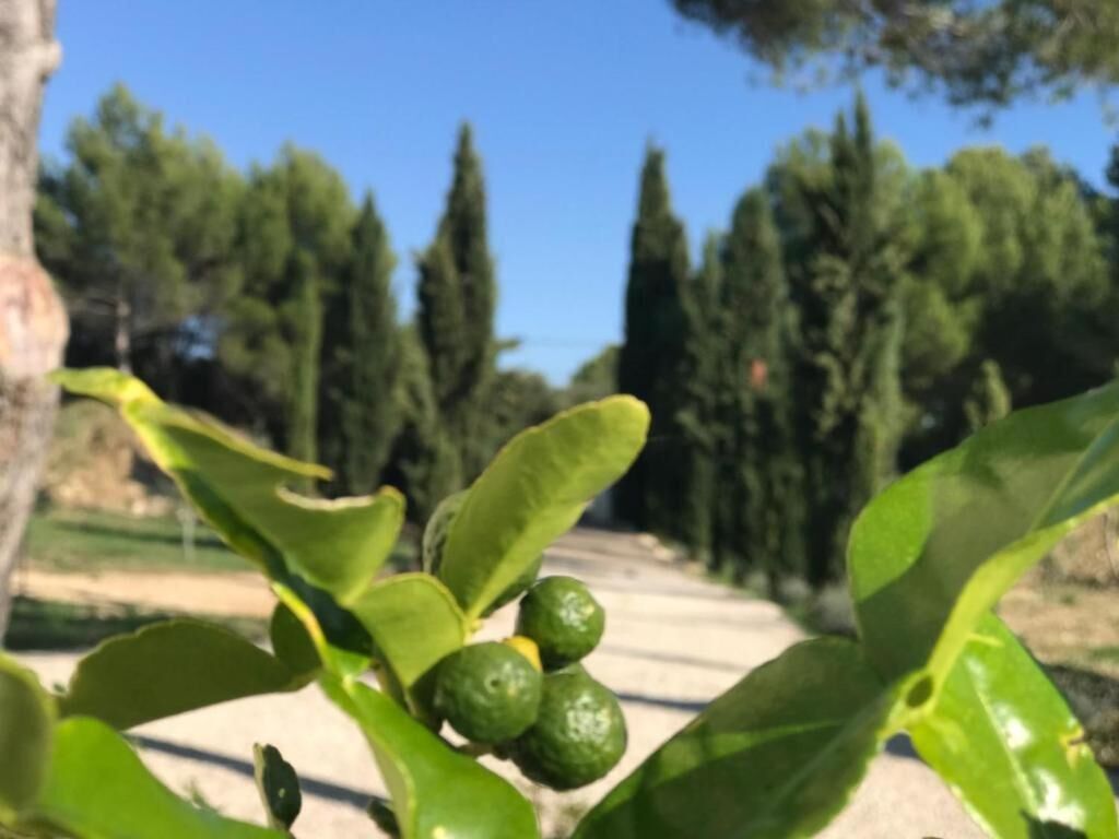 Photo - La Soleillade Aixoise