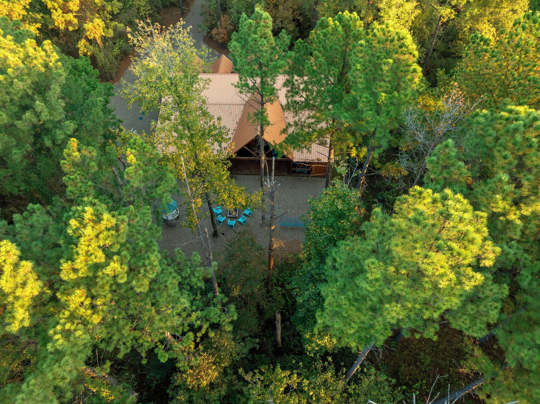 Tucked among the trees, this hidden gem feels like your own enchanted forest escape.