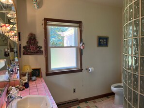 Combined shower/bathtub, hair dryer, towels, soap - Mountain/Lake views, easy access Boulder-Longmont-Lyons (Longmont)
