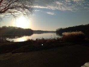 Property grounds - UP NORTH COTTAGE Chanhassen (Chanhassen)