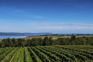 Área da propriedade