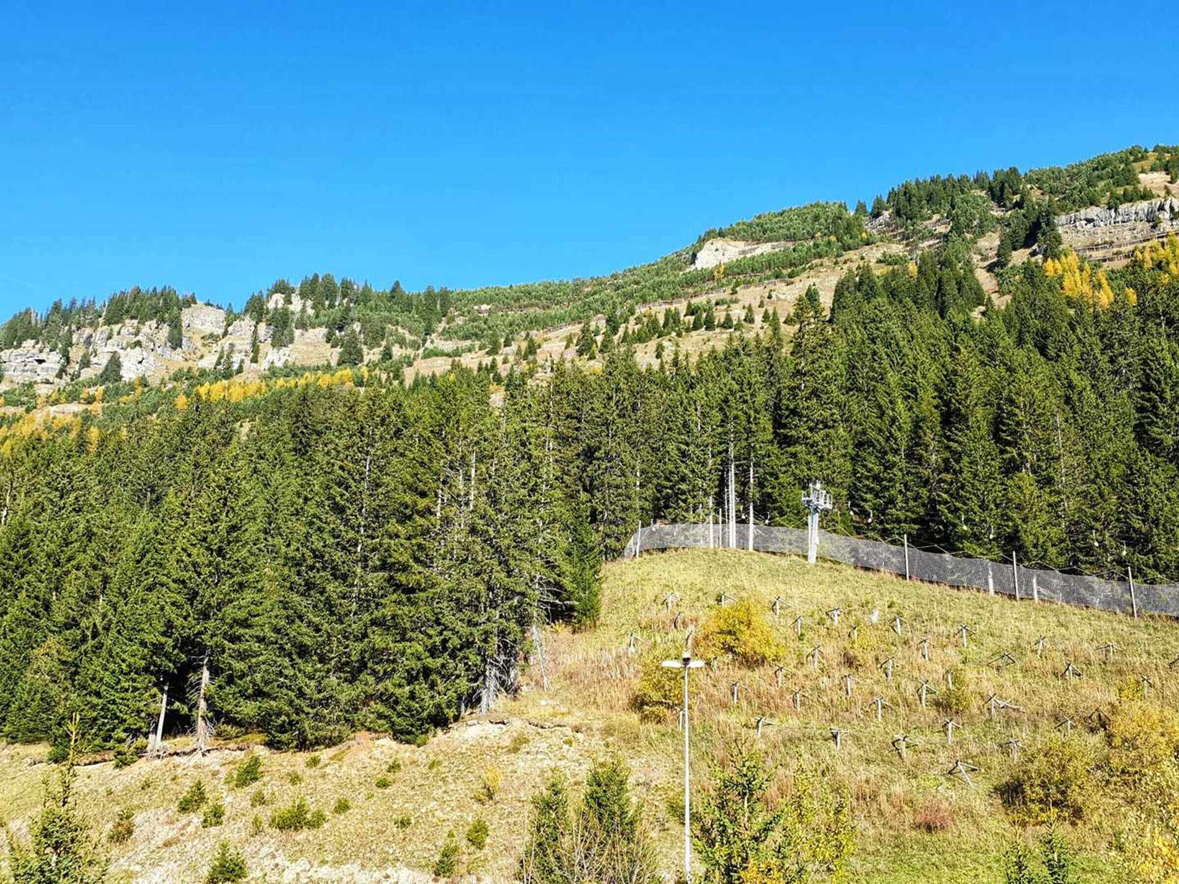 Paesaggio montuoso con fitte foreste e cielo sereno.