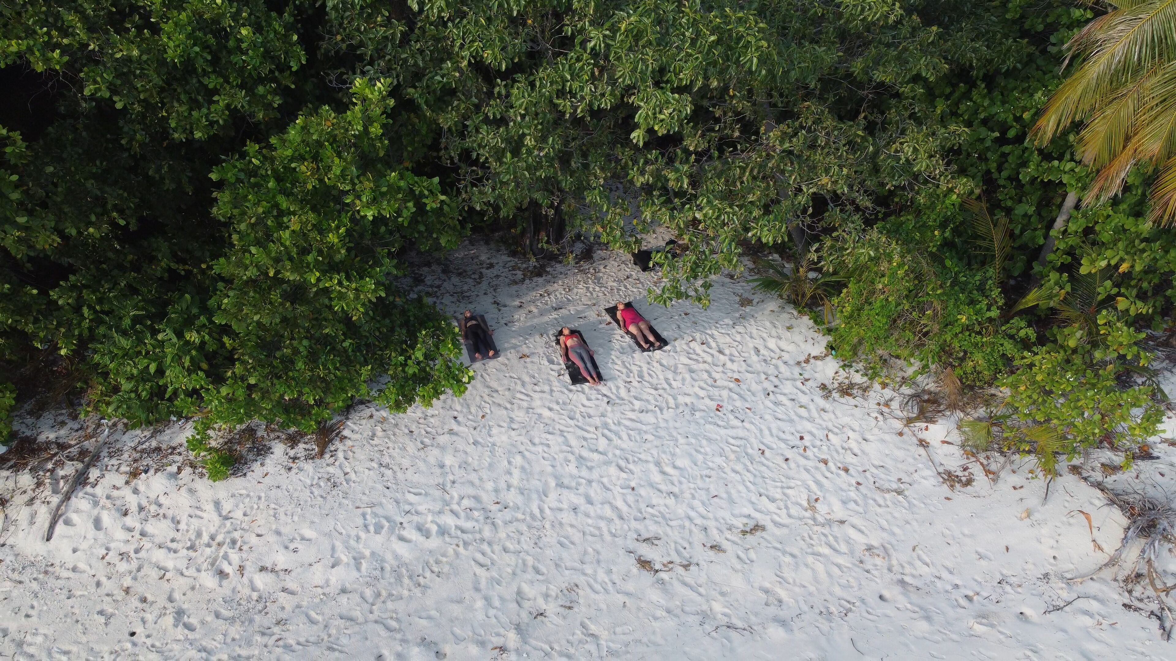 Ein sandiger Strandabschnitt mit dichtem Grün im Hintergrund.