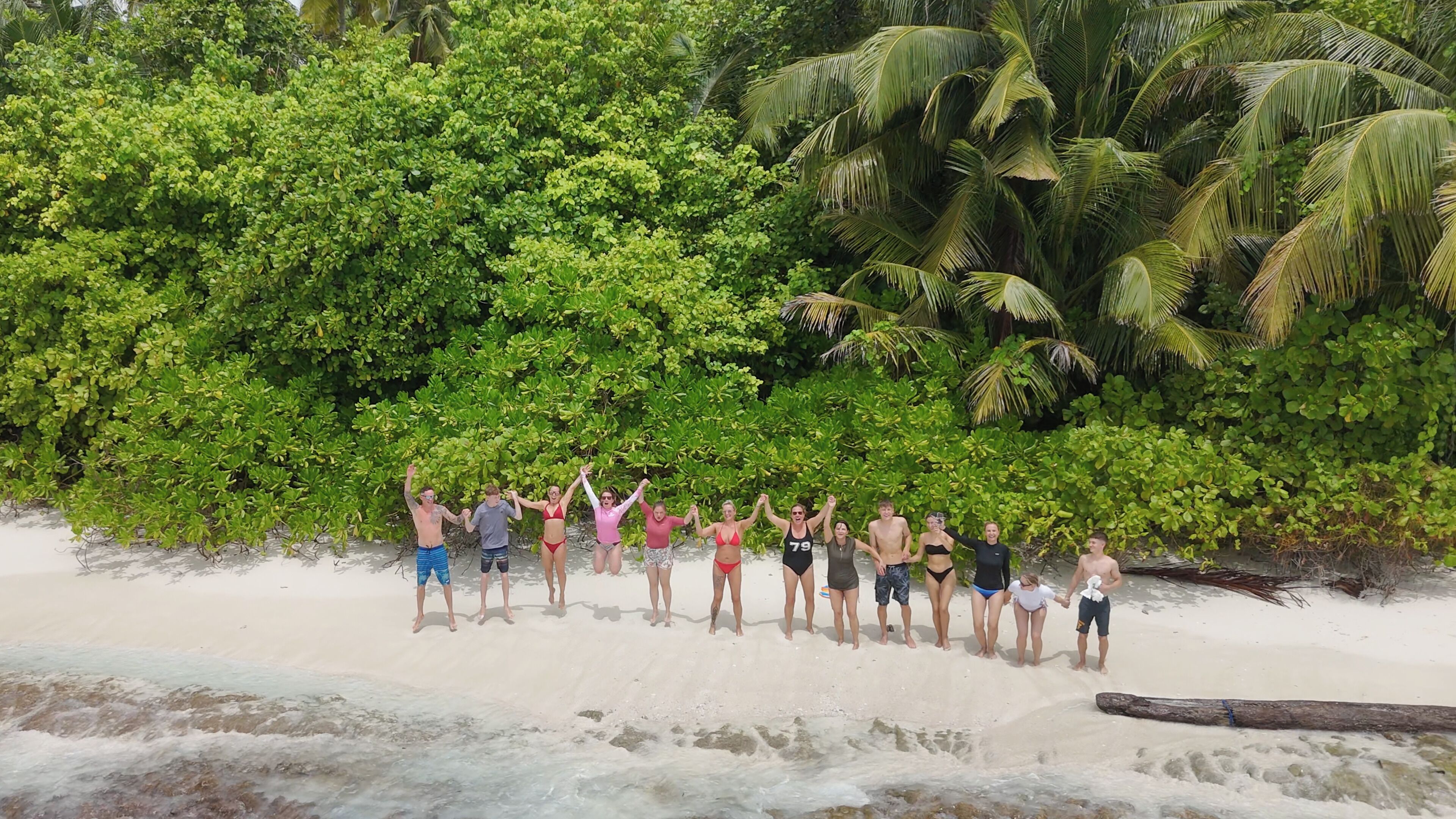 Un groupe de personnes se tient sur une plage de sable, avec une végétation luxuriante et des palmiers en arrière-plan.