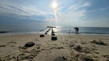 Plage à proximité, chaises longues, serviettes de plage
