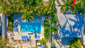 Vue aérienne d’un complexe hôtelier doté d’une piscine entourée de palmiers et de chaises de plage.