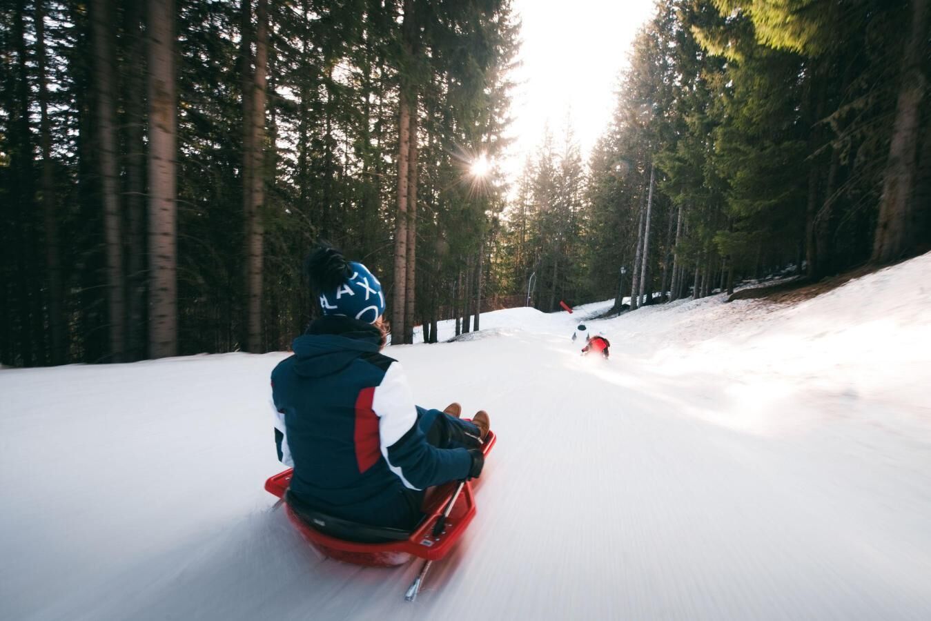 A person sledding down a snowy slope in a forested area.