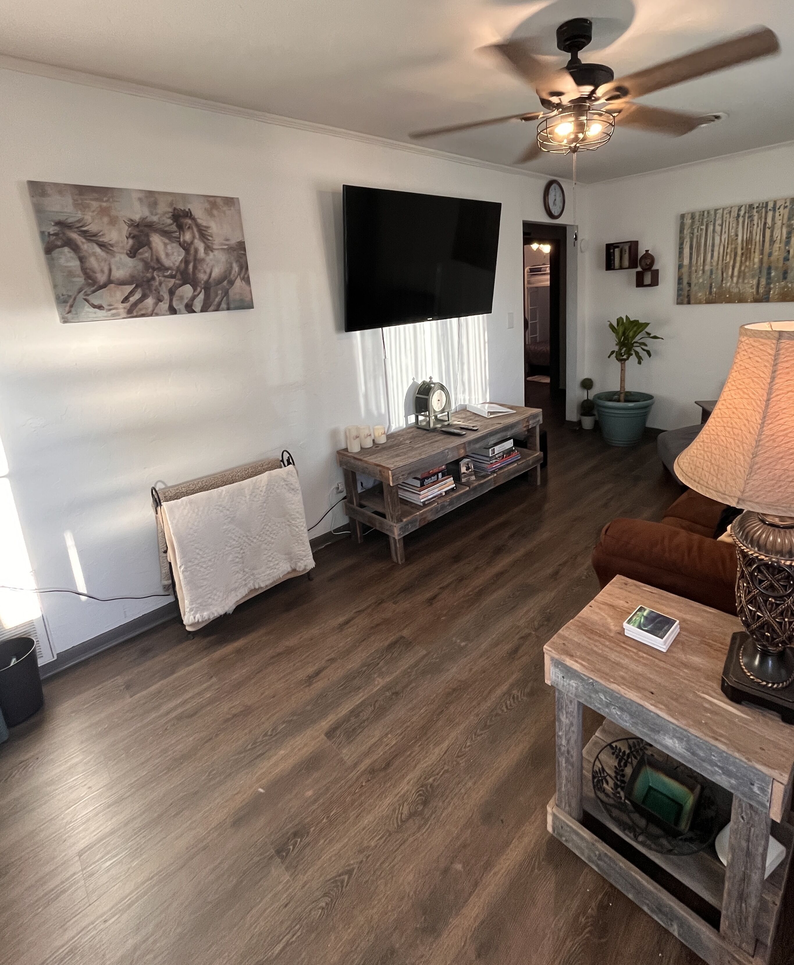 Smart TV, video games, books, video library