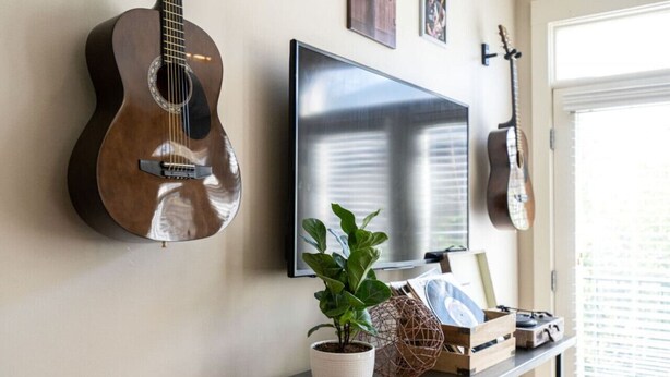 A room with a guitar, a TV, a plant, and a shelf with records and a picture frame.