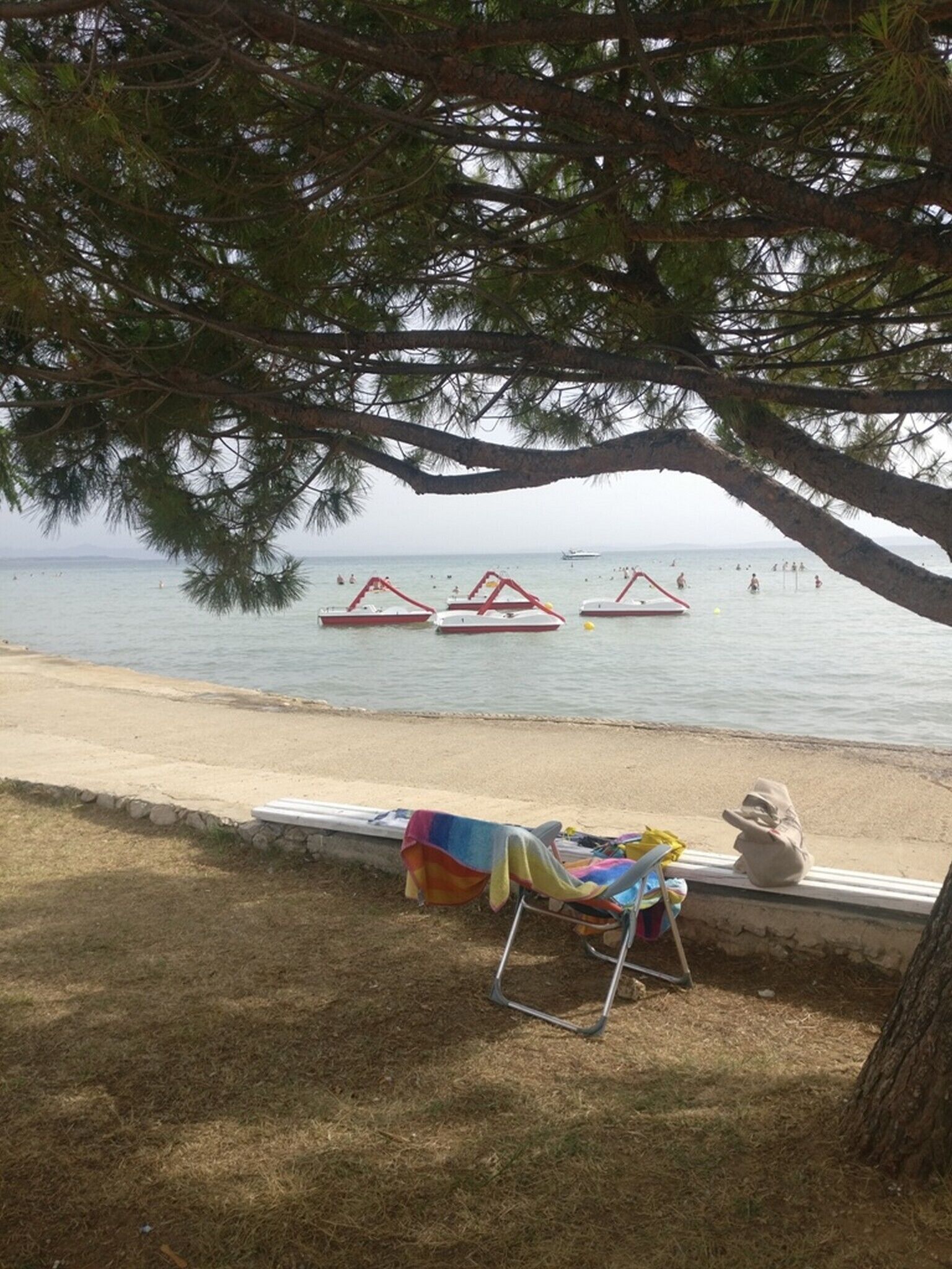 A beach with a grassy area, a bench, and a tree providing shade.