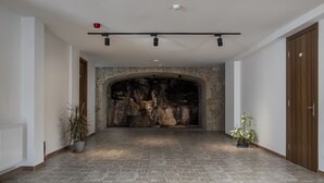 A hallway with a stone fireplace, potted plants, and a wooden door. - Basa Boutique Hotel (Tbilisi)