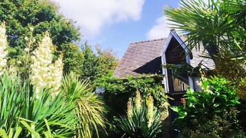 Detalle exterior
