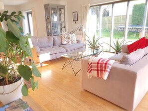 TV connectée, cheminée, livres, vidéothÚque