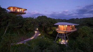 Dos alojamientos tipo casa en los árboles con estructuras de madera, plataformas elevadas y bosque circundante.