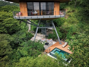Treetop Suite with Pool view