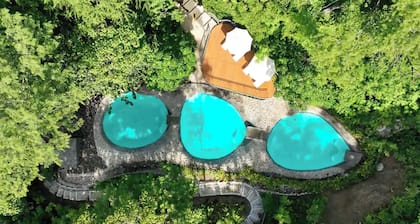 Suitree Experience Hotel