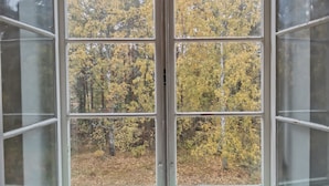 A room with a bay window overlooking a forested area with autumn foliage.