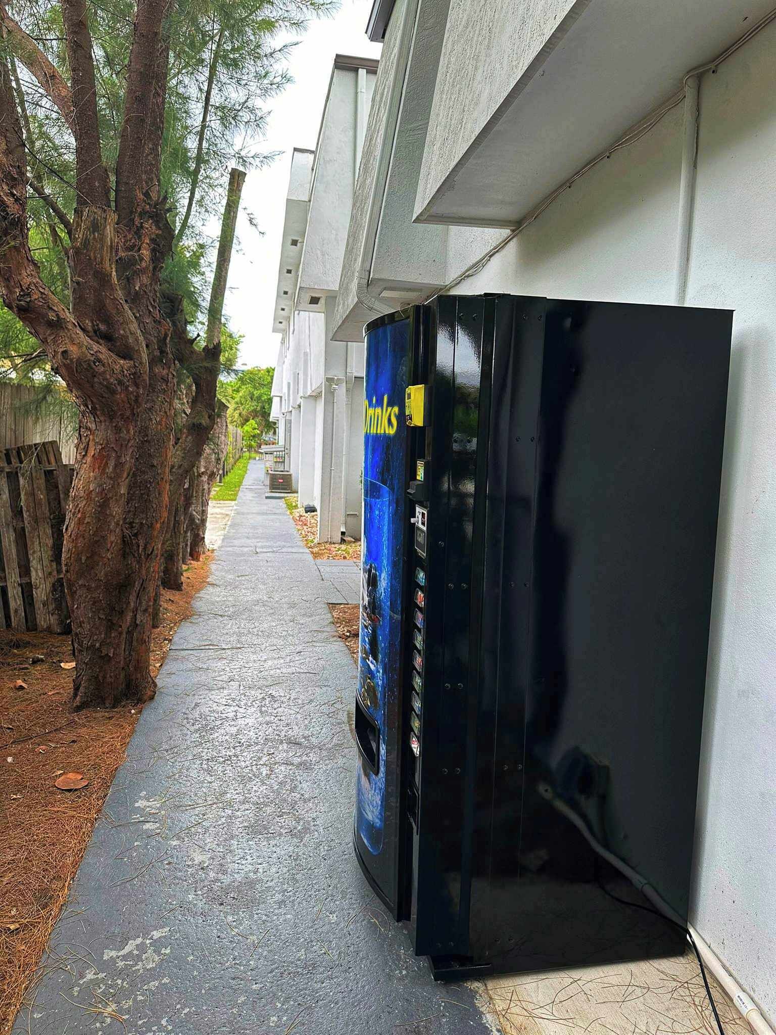 A row of buildings with a pathway lined by trees.