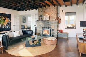 Smart TV, fireplace, books, music library