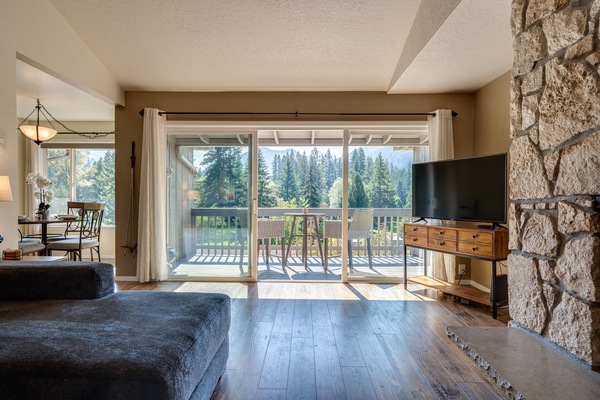 Televisor intel·ligent, llar de foc i llibres