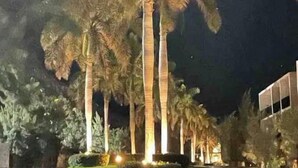 A nighttime view of a street lined with palm trees and a building with illuminated windows. - Apartament 2 beds+pool+gym+ petfriendly (Cabo San Lucas)