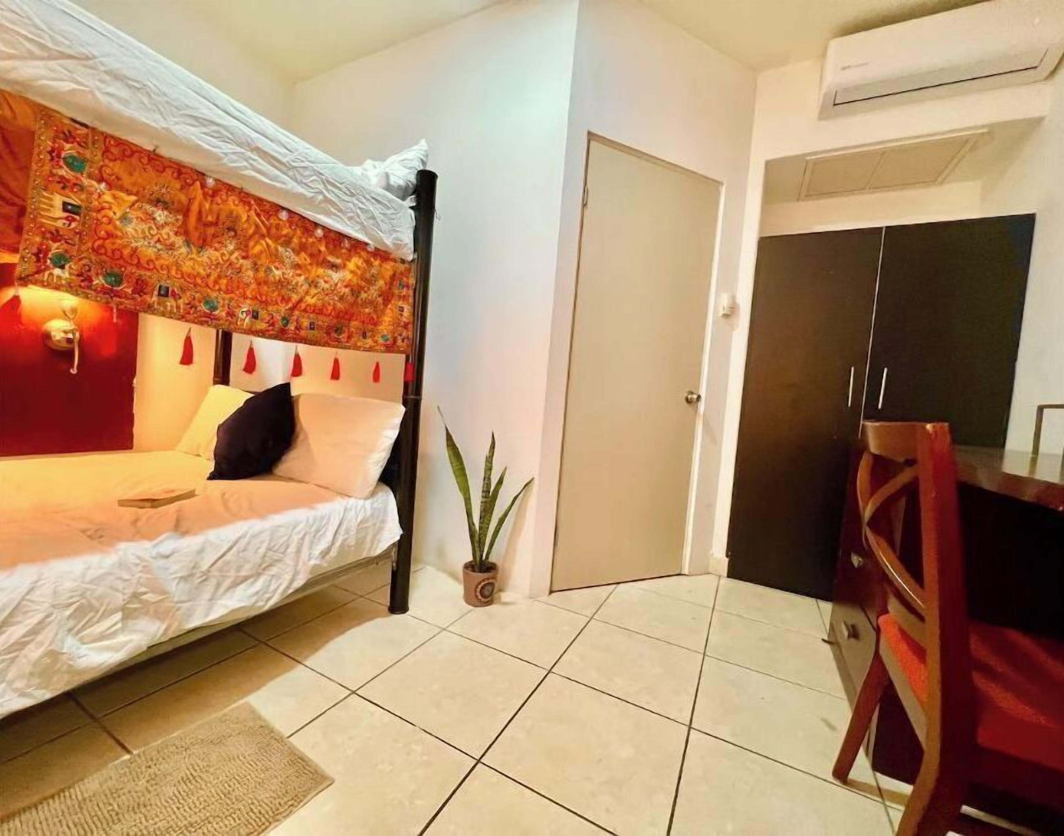A room with a bed, a small potted plant, a door, and a desk with a chair.