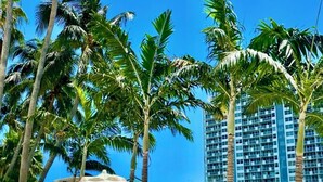 Zwembadgedeelte van een resort met ligbedden en parasols, omgeven door palmbomen en uitzicht op een hoog gebouw aan de overkant van het water.